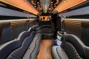 Mercedes Sprinter Party Bus St Louis