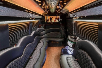 Mercedes Sprinter Party Bus St Louis