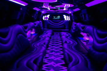 Arctic White Denali Limo 20-22 Passengers