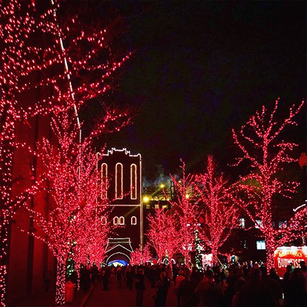 St. Louis Holiday Lights Tours.